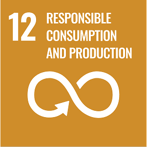 Responsible consumption and production